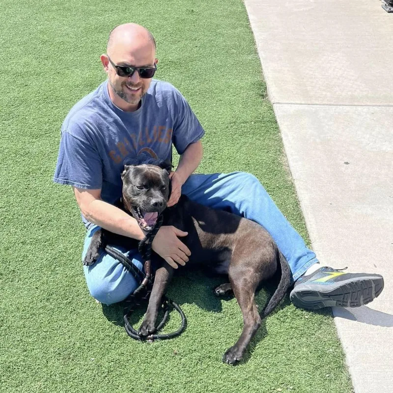 Mr. Wiggins thumbnail 6