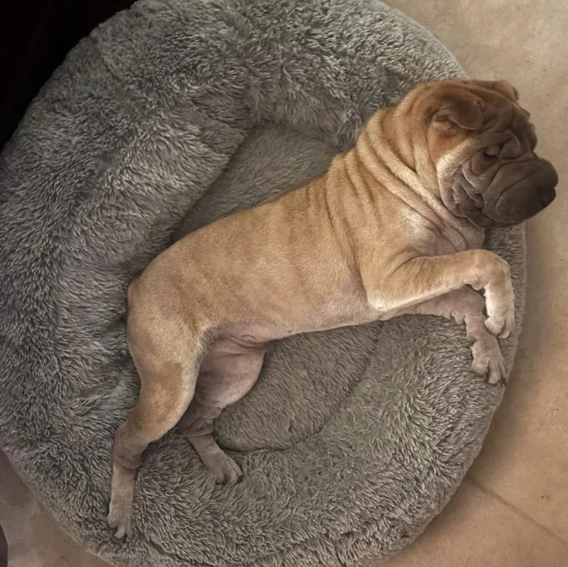 Cillian Murpei thumbnail 3