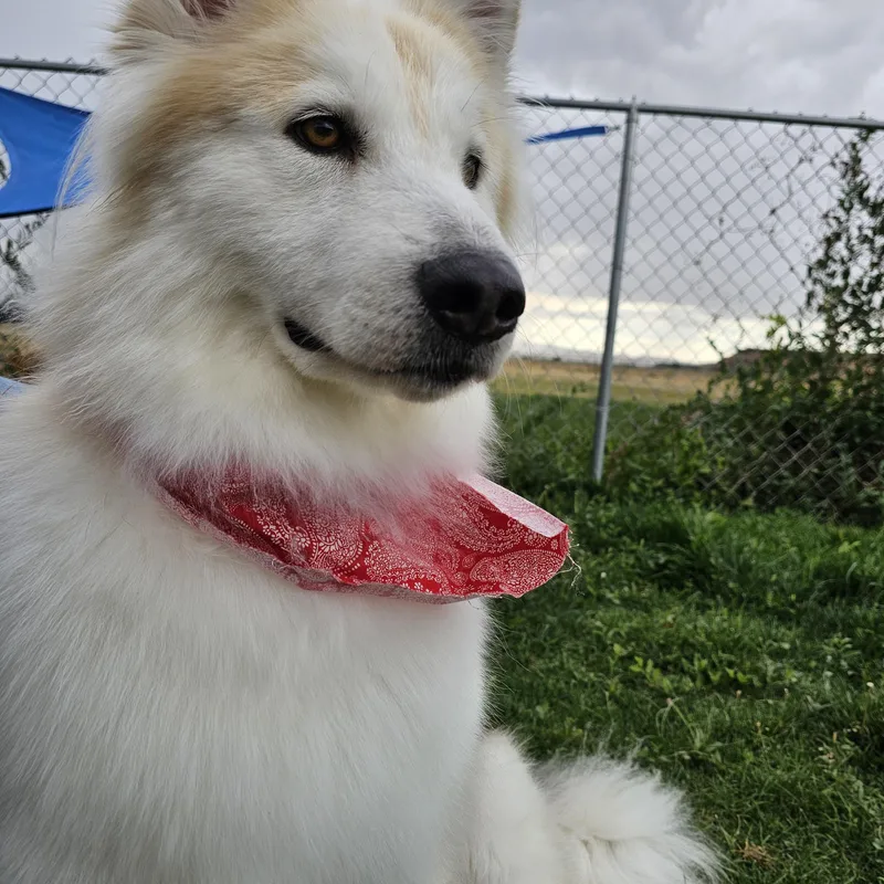 Brooklyn thumbnail 2