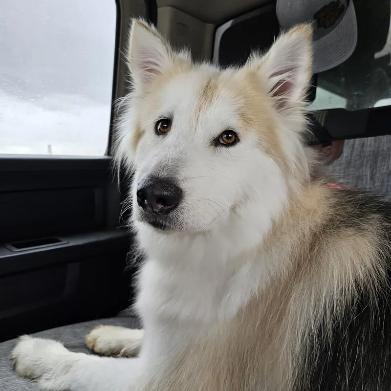 Brooklyn thumbnail 3