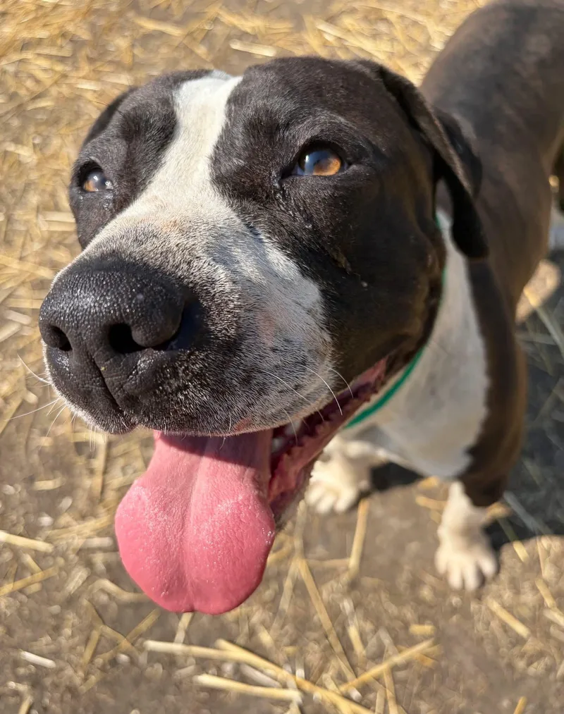 Faustina thumbnail 2