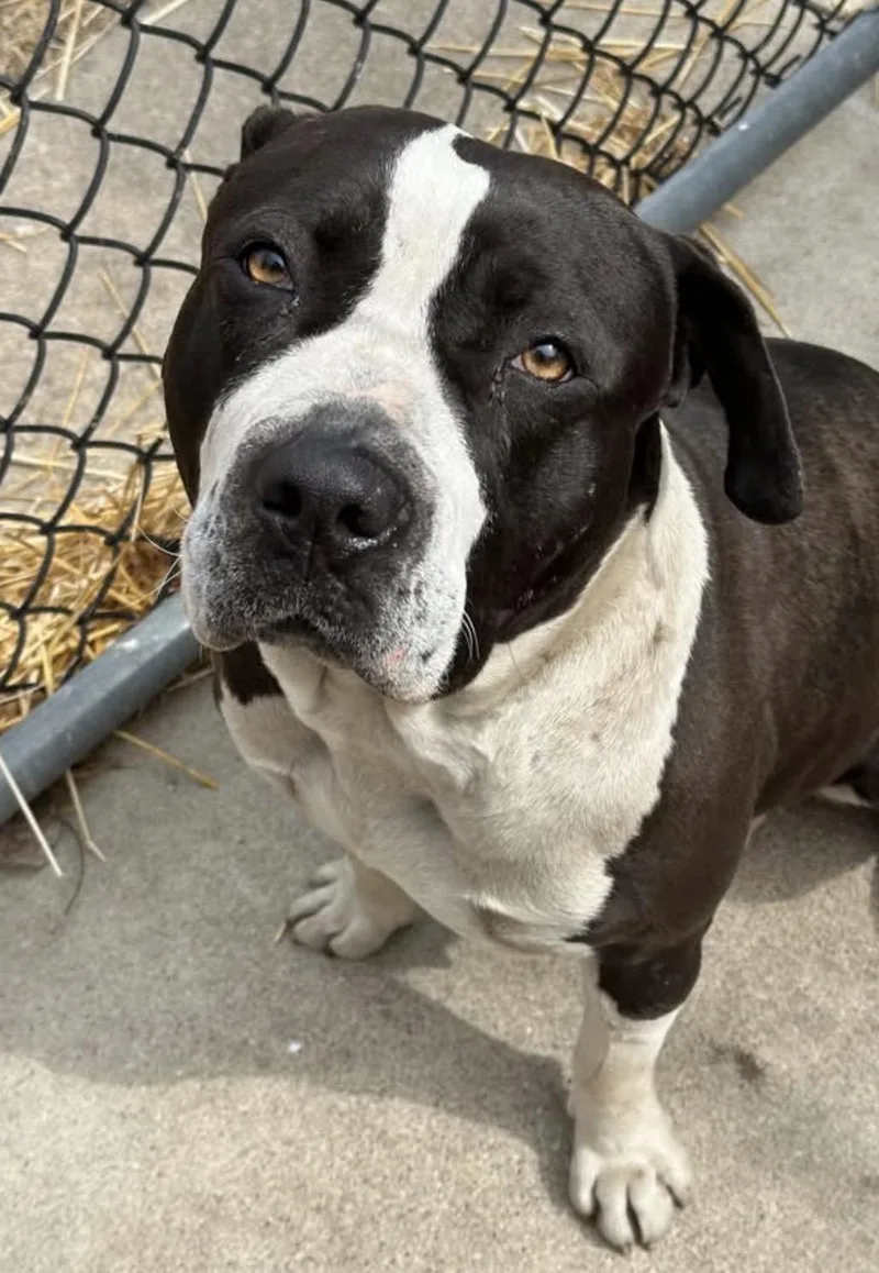 Faustina thumbnail 3