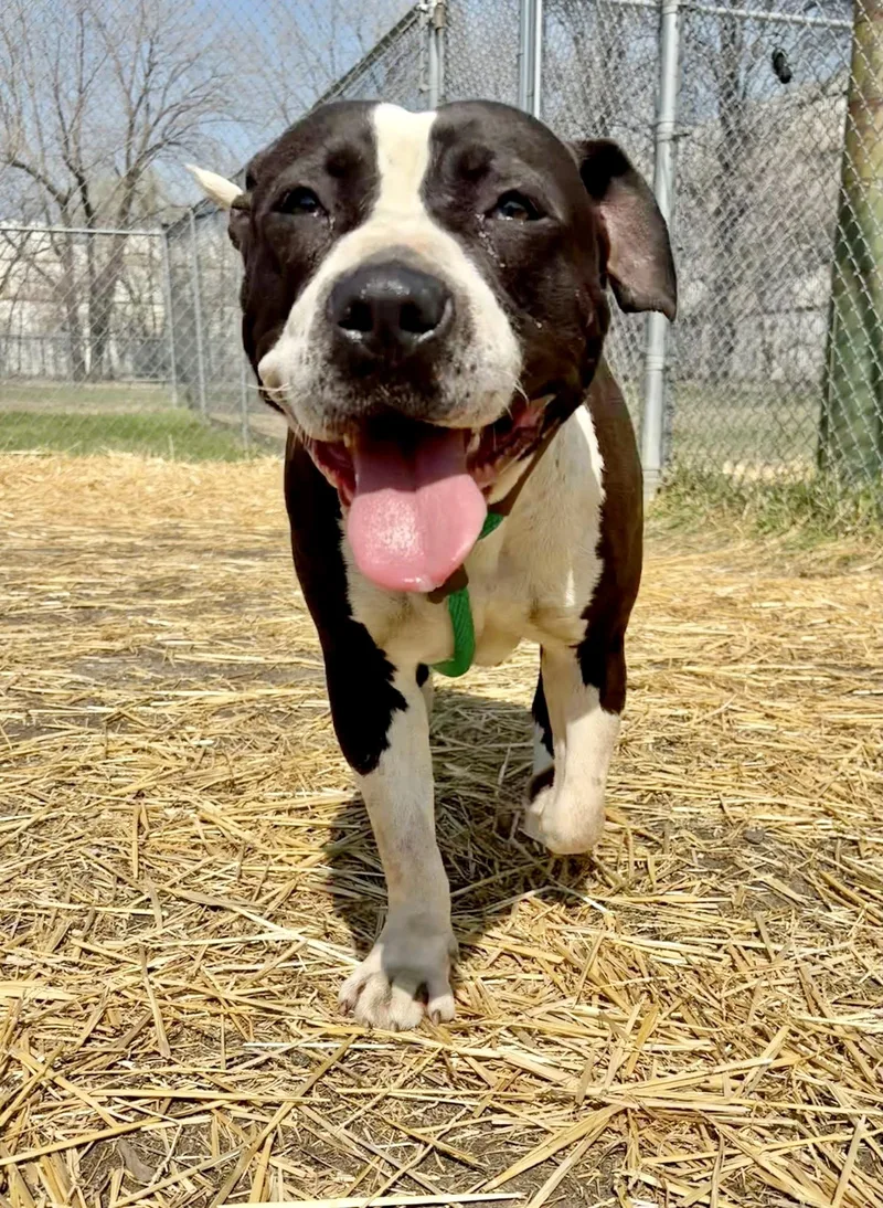 Faustina thumbnail 4