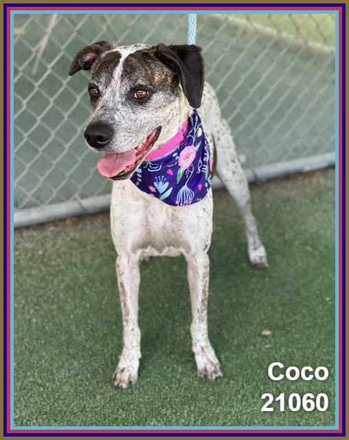 Coco thumbnail 2