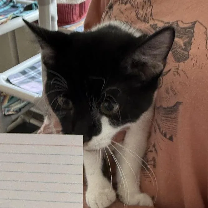 SneezyJersey thumbnail 3