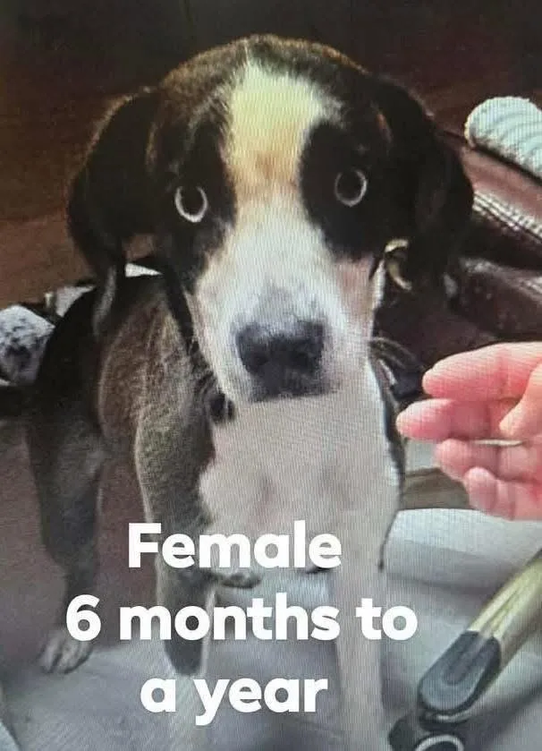 Cindy