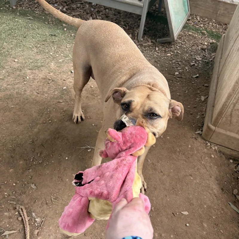 Mississippi thumbnail 2