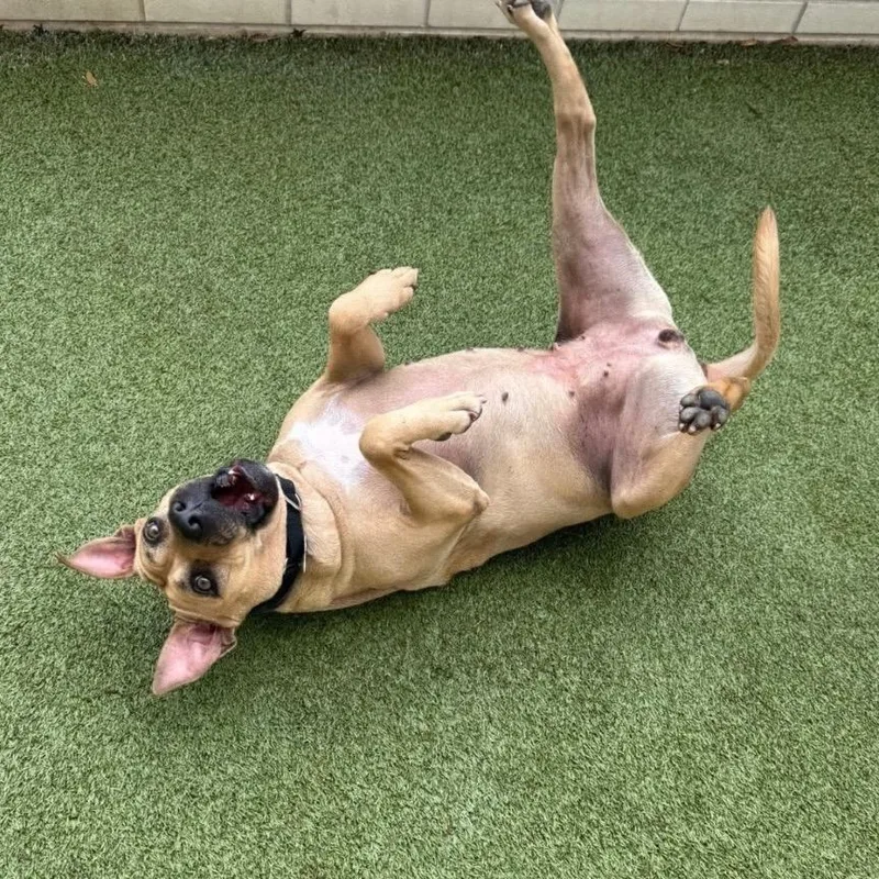 Mississippi thumbnail 3