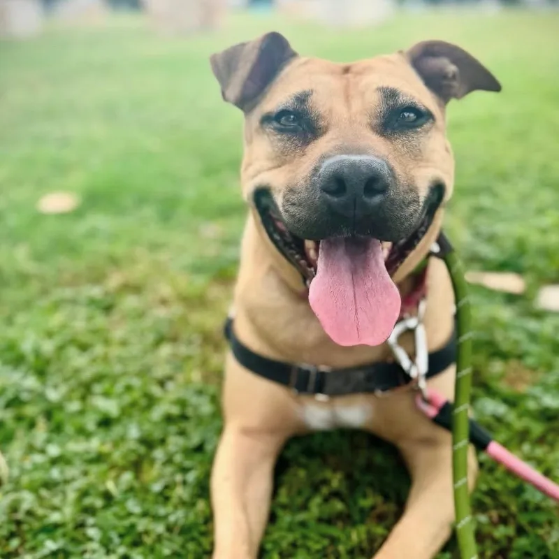 Mississippi thumbnail 4