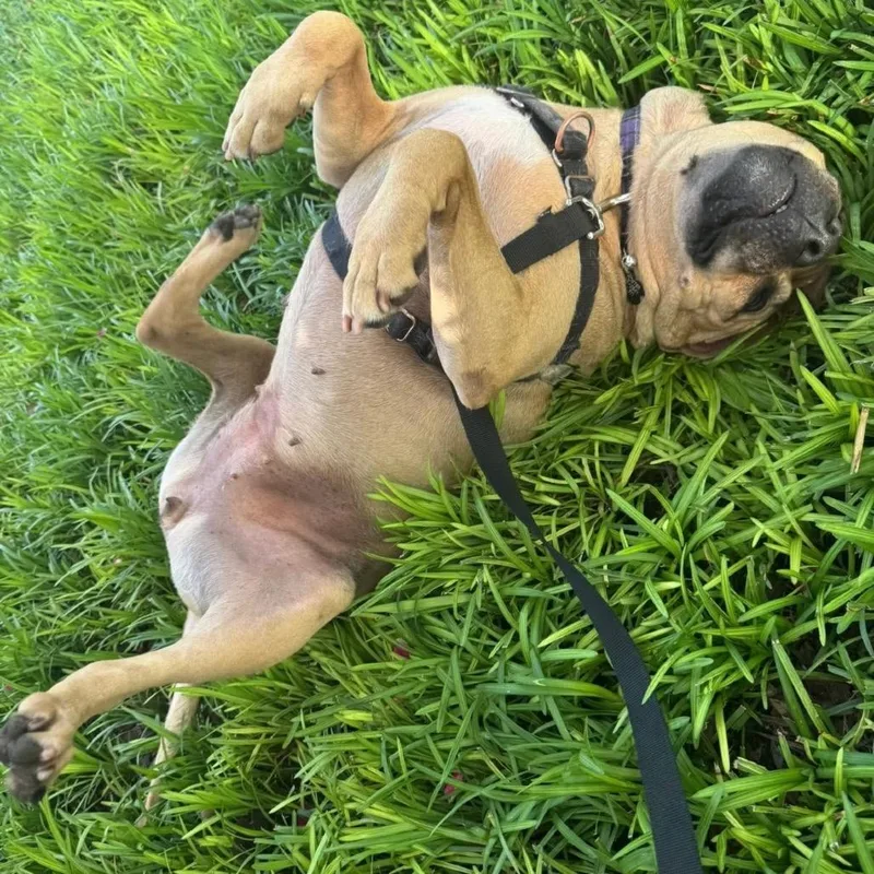 Mississippi thumbnail 5