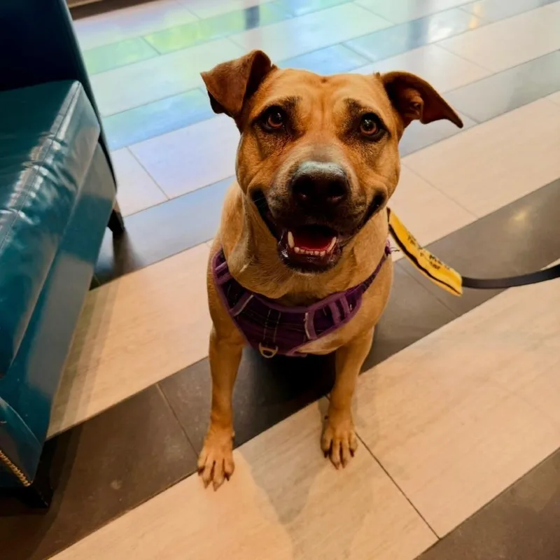 Mississippi thumbnail 6