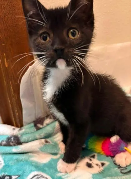 Maggie thumbnail 3