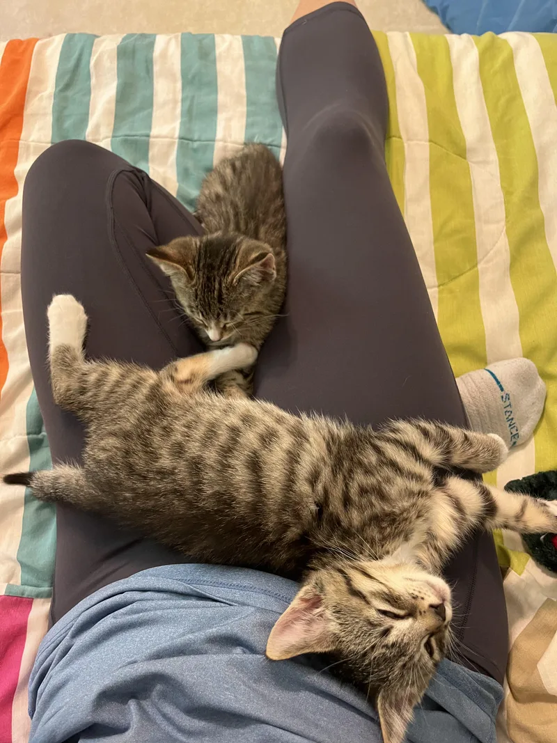 Gilligan & Lovie