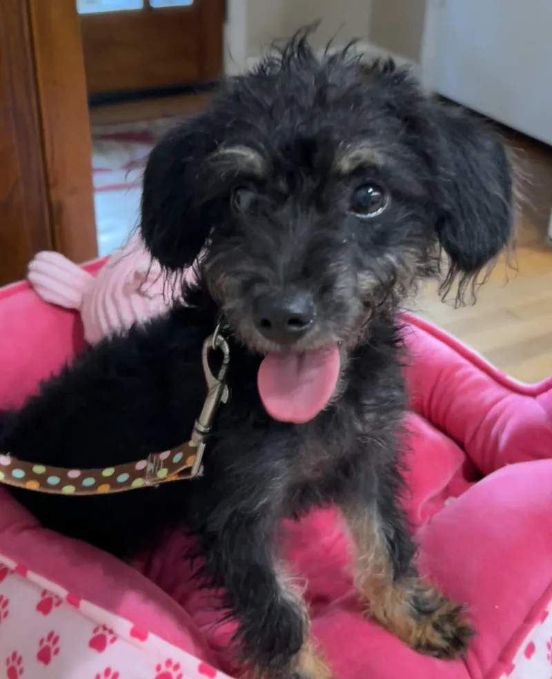 Coco thumbnail 2