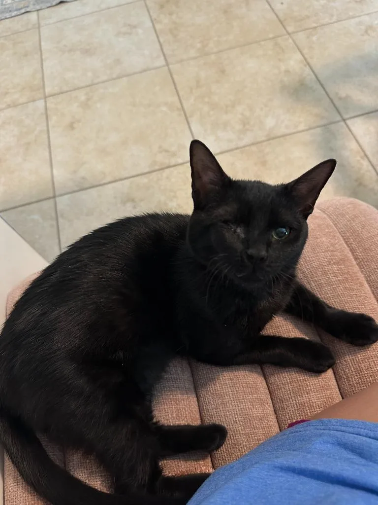 Charlotte thumbnail 2