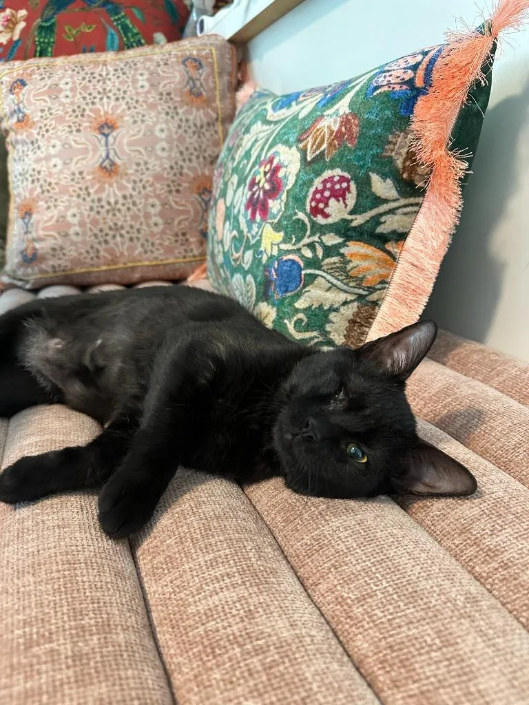 Charlotte thumbnail 3