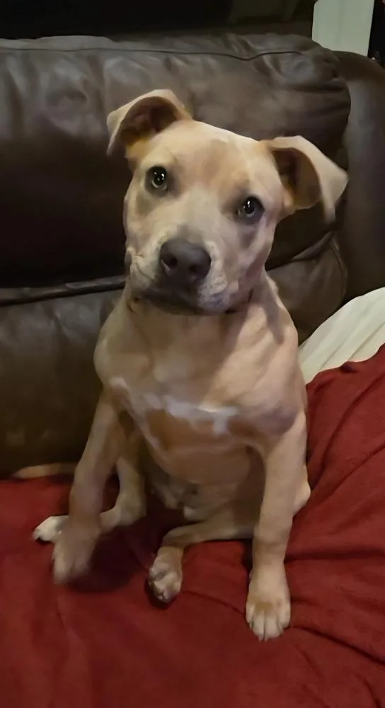 Charlotte thumbnail 2