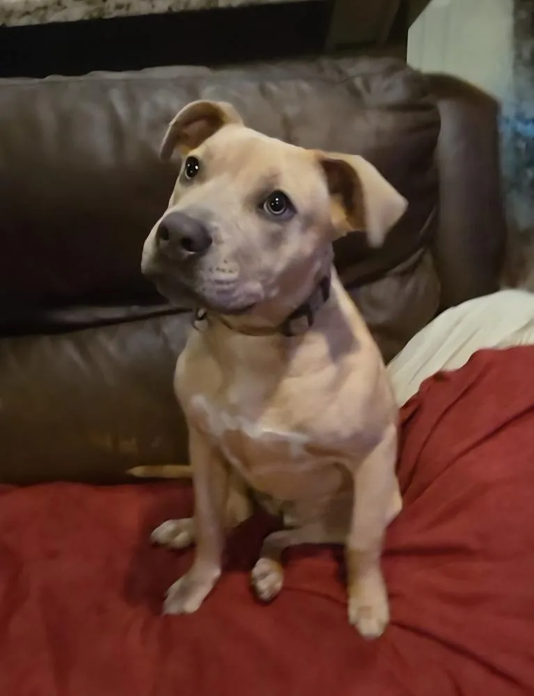 Charlotte thumbnail 3