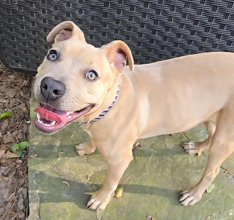 Charlotte thumbnail 4