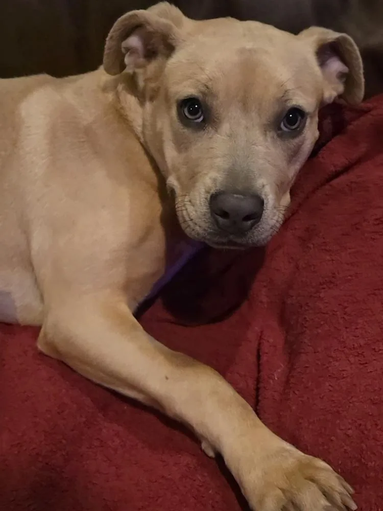 Charlotte thumbnail 5