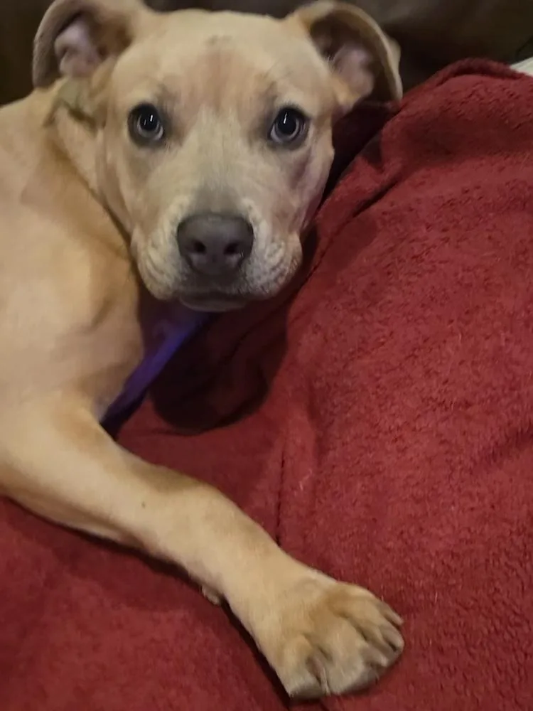 Charlotte thumbnail 6