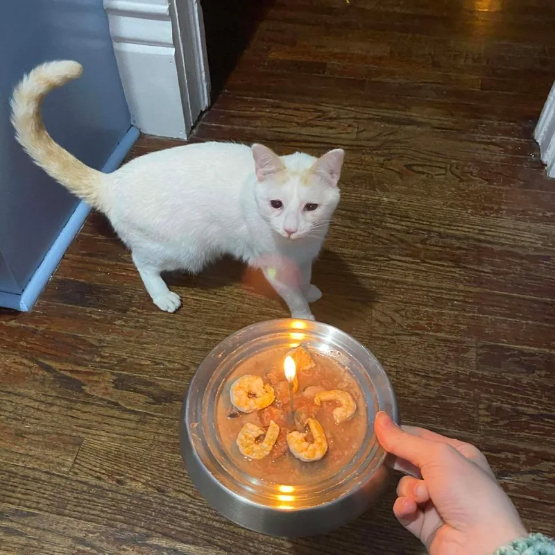 Croissant Macaroon thumbnail 4