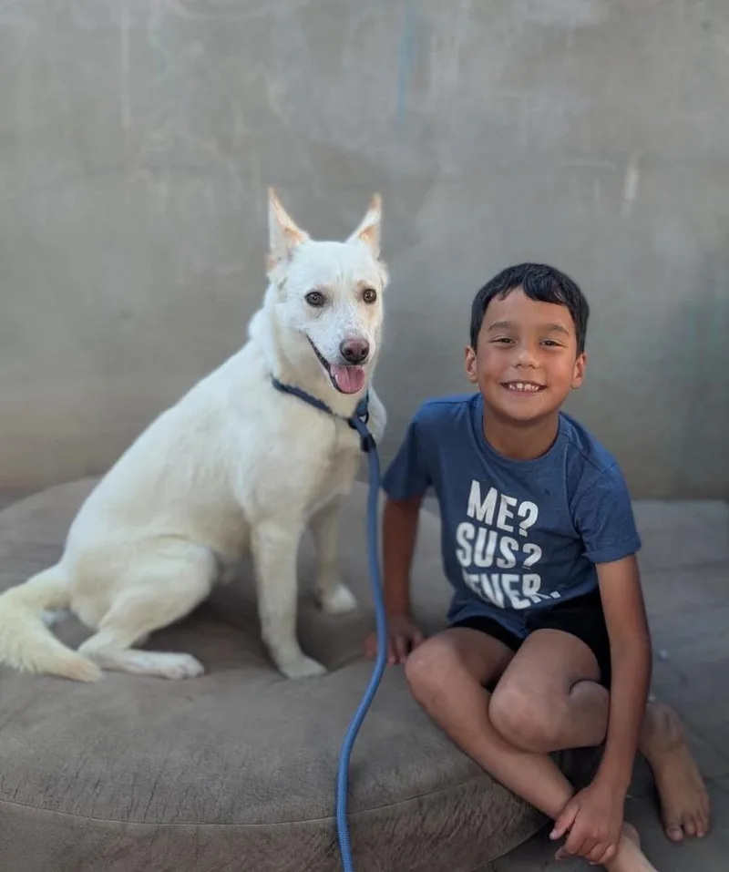 Koda