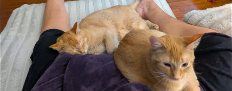 Skittles & Twix thumbnail 2