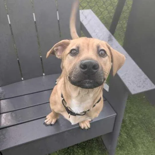 Scoobydoo thumbnail 2