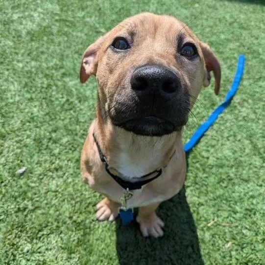 Scoobydoo thumbnail 3