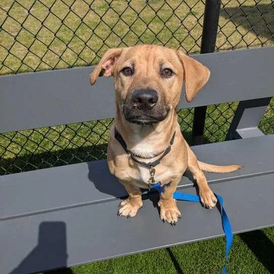 Scoobydoo thumbnail 4