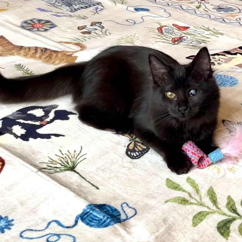 Lillian & Edith Bonded thumbnail 6
