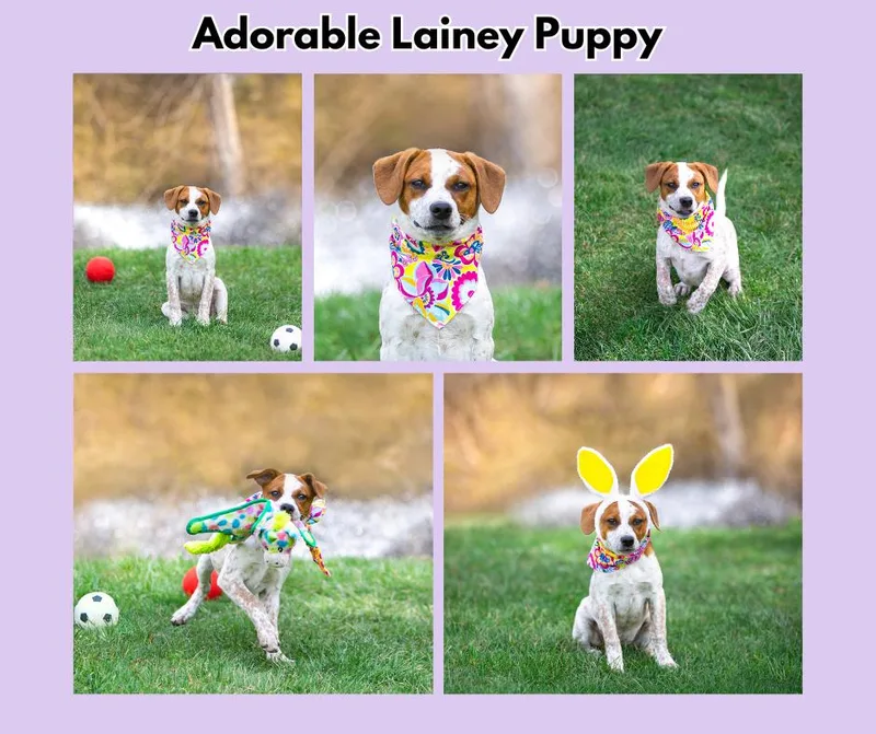 Lainey's Pups Girls thumbnail 2