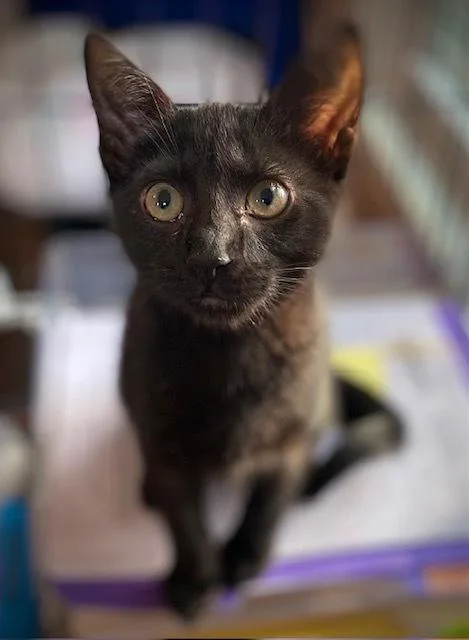 Tara W Jordan thumbnail 2