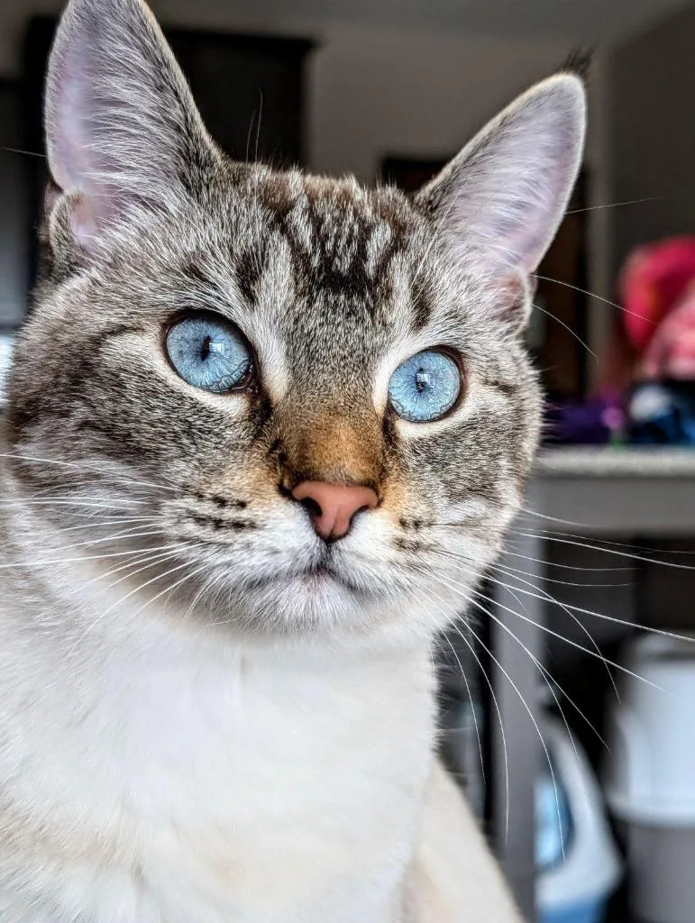 Pixel thumbnail 3
