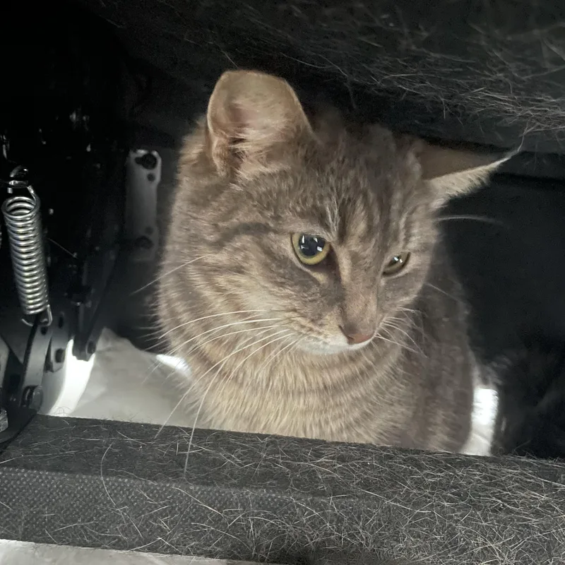 Princess Peach thumbnail 2