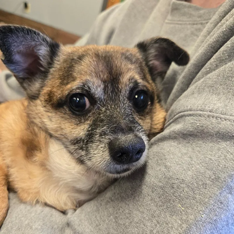Marley Sue thumbnail 2