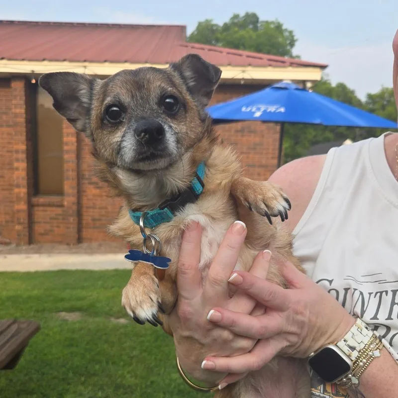 Marley Sue thumbnail 3