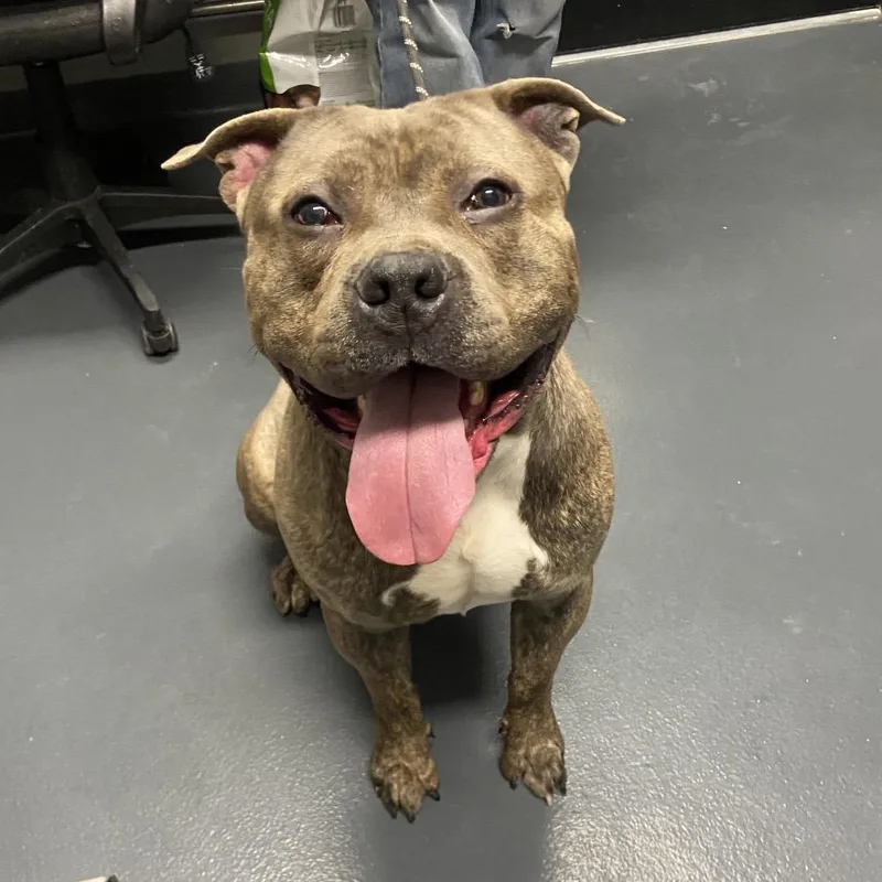 Little Bear thumbnail 3