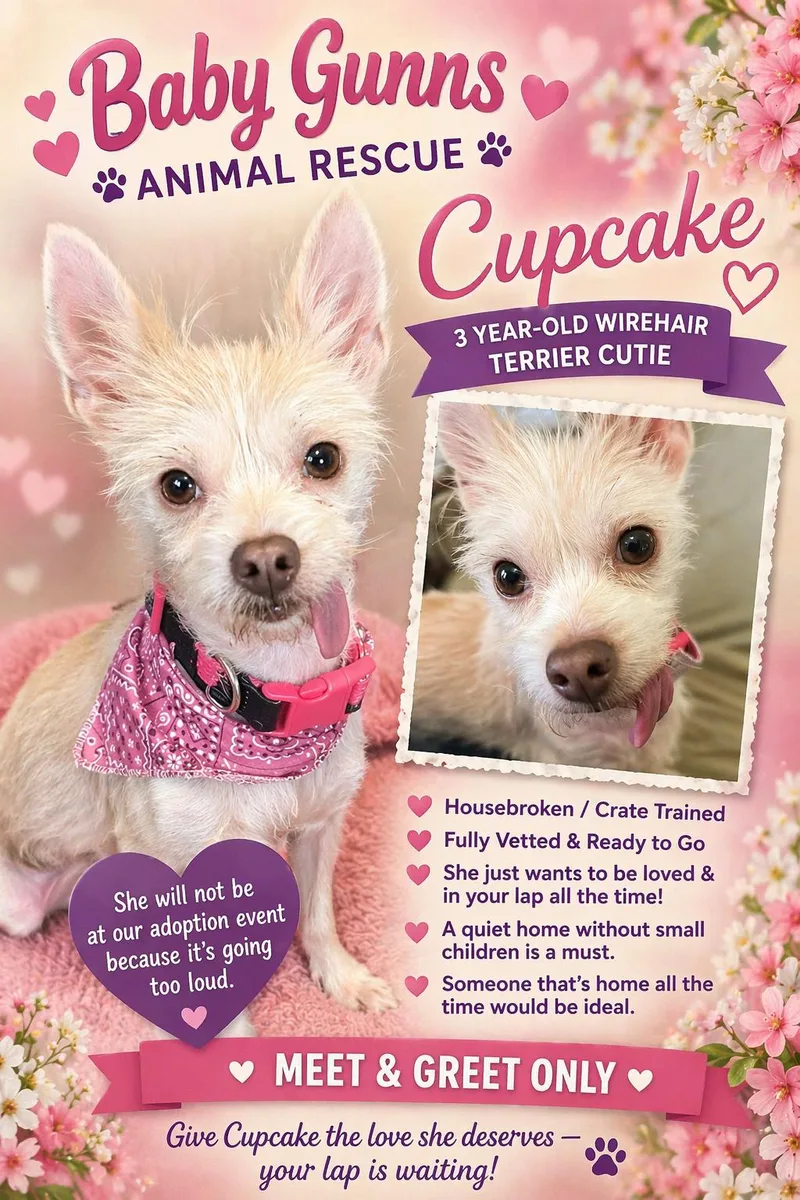 Cupcake