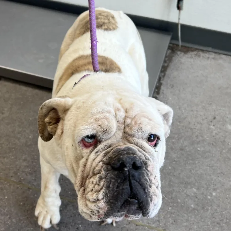 Mya thumbnail 4