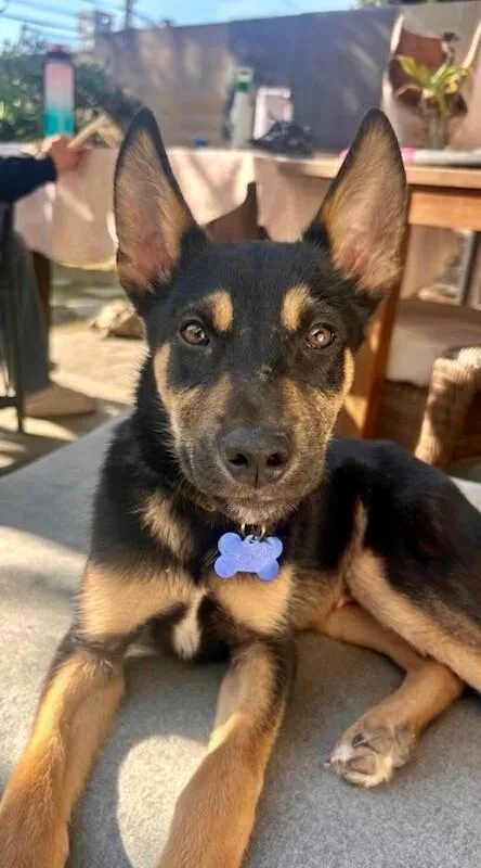 Mini Cooper thumbnail 4