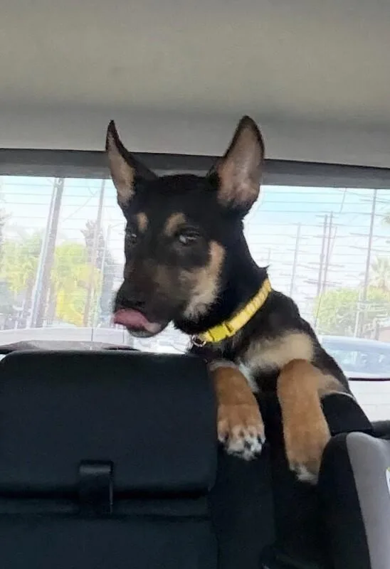 Mini Cooper thumbnail 6