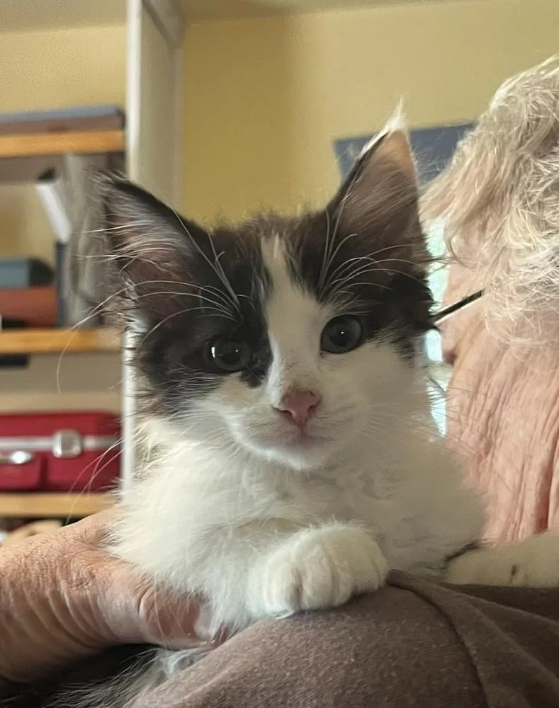 Penelope