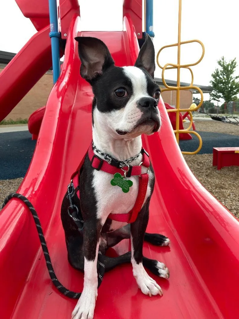 Hudson in CO thumbnail 5