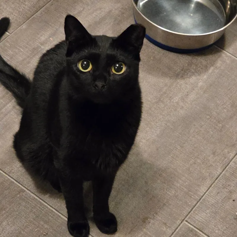 Braelynn thumbnail 2