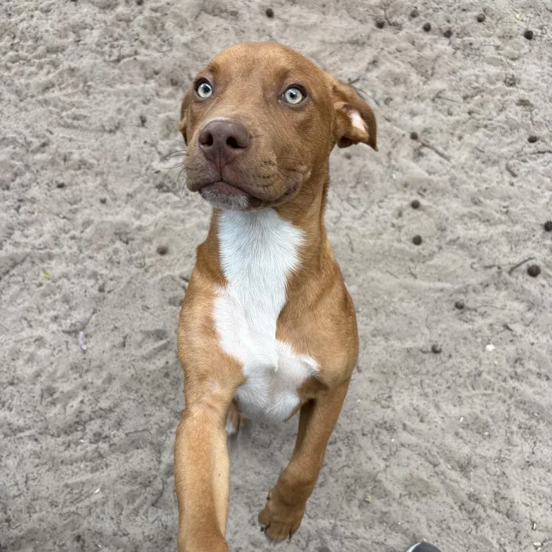 Coldplay thumbnail 2