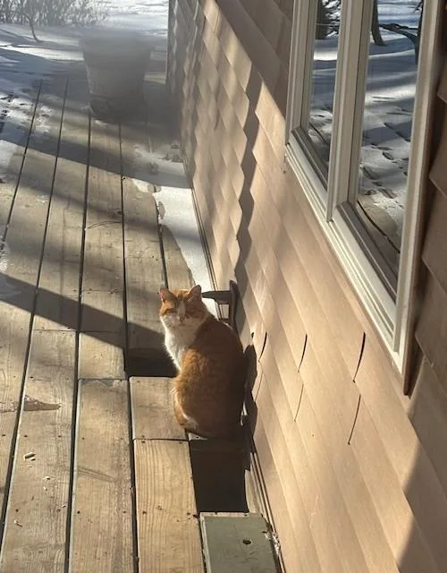 Mr. Smudge