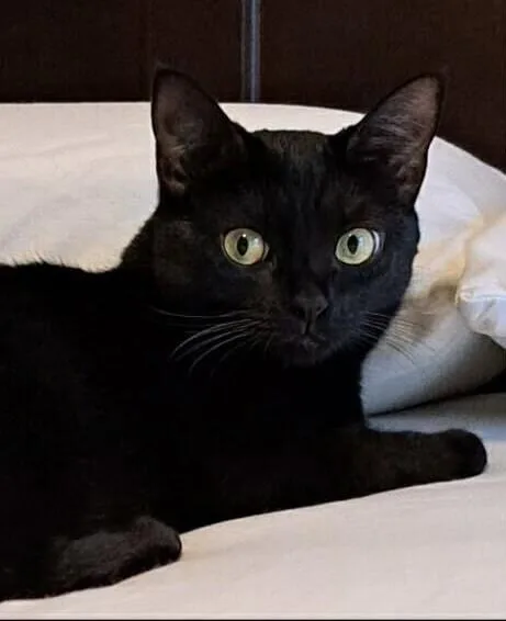 Josie