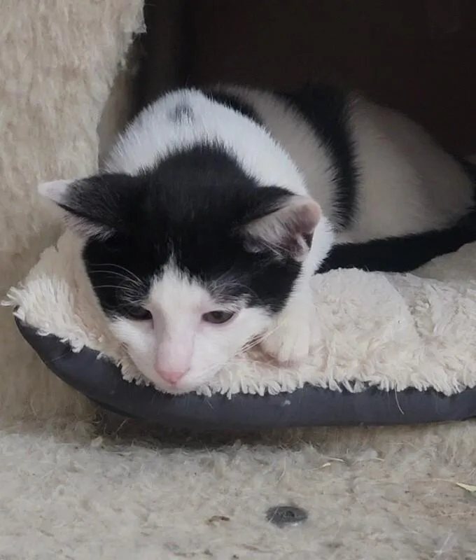 Timmy thumbnail 2